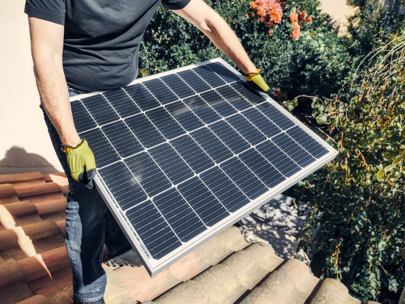 Solar & Renewable Energy